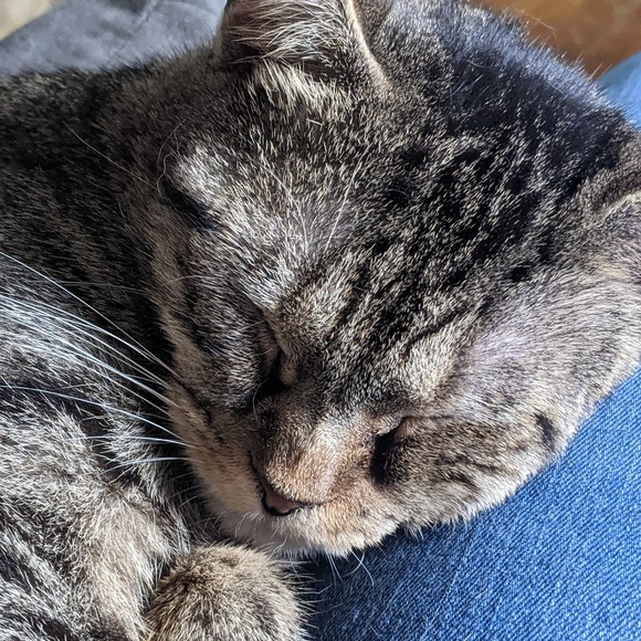 Meet your Posher, Posh - Picture 1 of 1